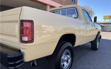 Dodge-Other-Pickups-Pickup-1982-beige-Tan-7242-2