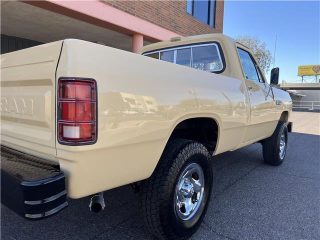 Dodge-Other-Pickups-Pickup-1982-beige-Tan-7242-2