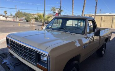 Dodge-Other-Pickups-Pickup-1982-beige-Tan-7242-3