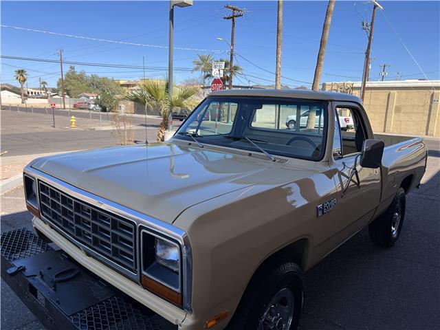 Dodge-Other-Pickups-Pickup-1982-beige-Tan-7242-3