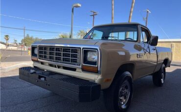 Dodge-Other-Pickups-Pickup-1982-beige-Tan-7242-4