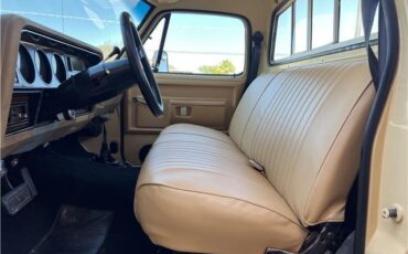 Dodge-Other-Pickups-Pickup-1982-beige-Tan-7242-6