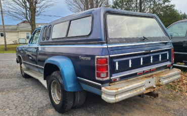 Dodge-Other-Pickups-Pickup-1985-Blue-Blue-205605-8