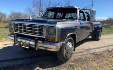 Dodge-Other-Pickups-Pickup-1985-Blue-Red-82833-11