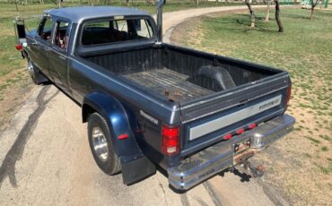 Dodge-Other-Pickups-Pickup-1985-Blue-Red-82833-2