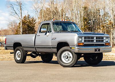 Dodge-Other-Pickups-Pickup-1989-Silver-Red-93709-1