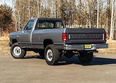 Dodge-Other-Pickups-Pickup-1989-Silver-Red-93709-10