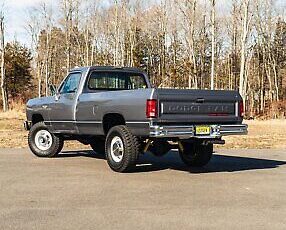 Dodge-Other-Pickups-Pickup-1989-Silver-Red-93709-11