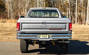 Dodge-Other-Pickups-Pickup-1989-Silver-Red-93709-16