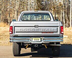 Dodge-Other-Pickups-Pickup-1989-Silver-Red-93709-17