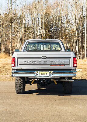 Dodge-Other-Pickups-Pickup-1989-Silver-Red-93709-17