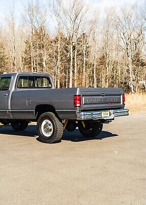 Dodge-Other-Pickups-Pickup-1989-Silver-Red-93709-19