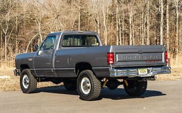 Dodge-Other-Pickups-Pickup-1989-Silver-Red-93709-20