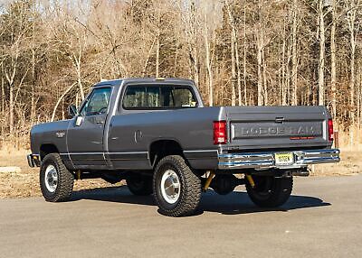 Dodge-Other-Pickups-Pickup-1989-Silver-Red-93709-20