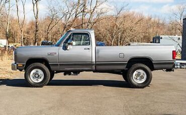 Dodge-Other-Pickups-Pickup-1989-Silver-Red-93709-21