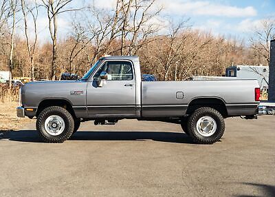 Dodge-Other-Pickups-Pickup-1989-Silver-Red-93709-21