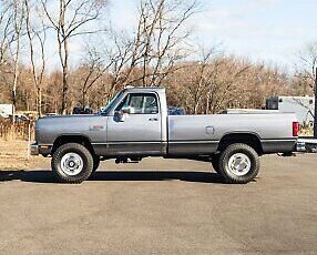 Dodge-Other-Pickups-Pickup-1989-Silver-Red-93709-22