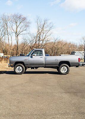 Dodge-Other-Pickups-Pickup-1989-Silver-Red-93709-22