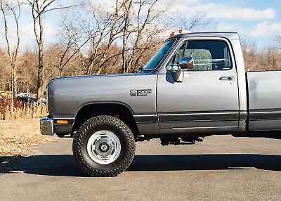 Dodge-Other-Pickups-Pickup-1989-Silver-Red-93709-23