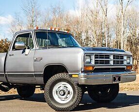 Dodge-Other-Pickups-Pickup-1989-Silver-Red-93709-3