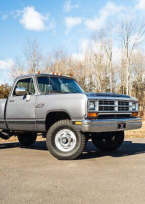 Dodge-Other-Pickups-Pickup-1989-Silver-Red-93709-3