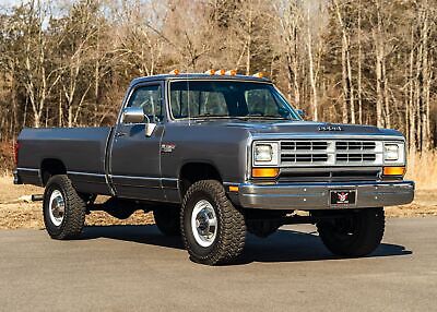 Dodge-Other-Pickups-Pickup-1989-Silver-Red-93709-34