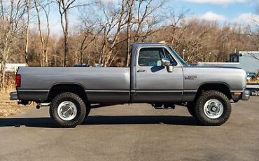 Dodge-Other-Pickups-Pickup-1989-Silver-Red-93709-35