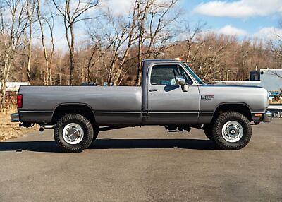 Dodge-Other-Pickups-Pickup-1989-Silver-Red-93709-35