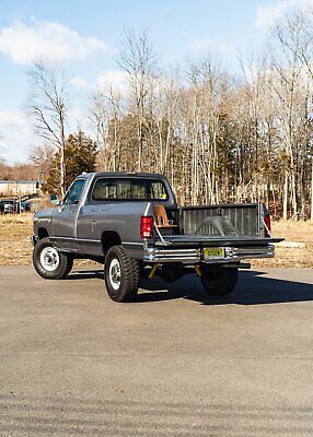 Dodge-Other-Pickups-Pickup-1989-Silver-Red-93709-6