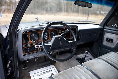 Dodge-Other-Pickups-Pickup-1990-Black-Gray-152886-27