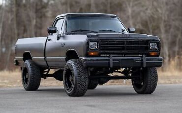 Dodge-Other-Pickups-Pickup-1990-Black-Gray-152886-6