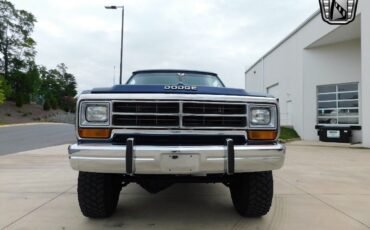 Dodge-Other-Pickups-Pickup-1990-Brown-Blue-196700-3