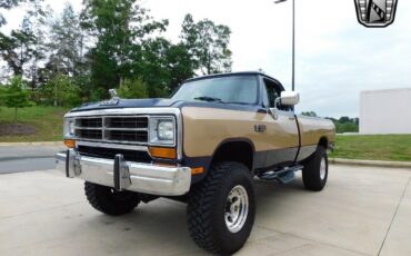 Dodge-Other-Pickups-Pickup-1990-Brown-Blue-196700-4