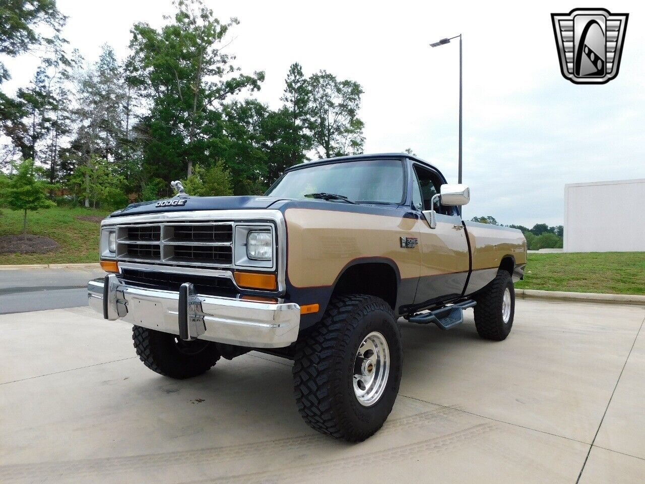 Dodge-Other-Pickups-Pickup-1990-Brown-Blue-196700-4