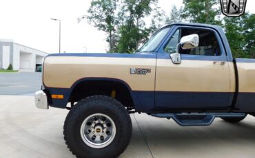 Dodge-Other-Pickups-Pickup-1990-Brown-Blue-196700-5