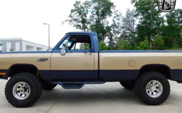 Dodge-Other-Pickups-Pickup-1990-Brown-Blue-196700-6