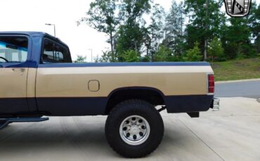 Dodge-Other-Pickups-Pickup-1990-Brown-Blue-196700-7