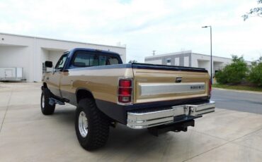 Dodge-Other-Pickups-Pickup-1990-Brown-Blue-196700-8