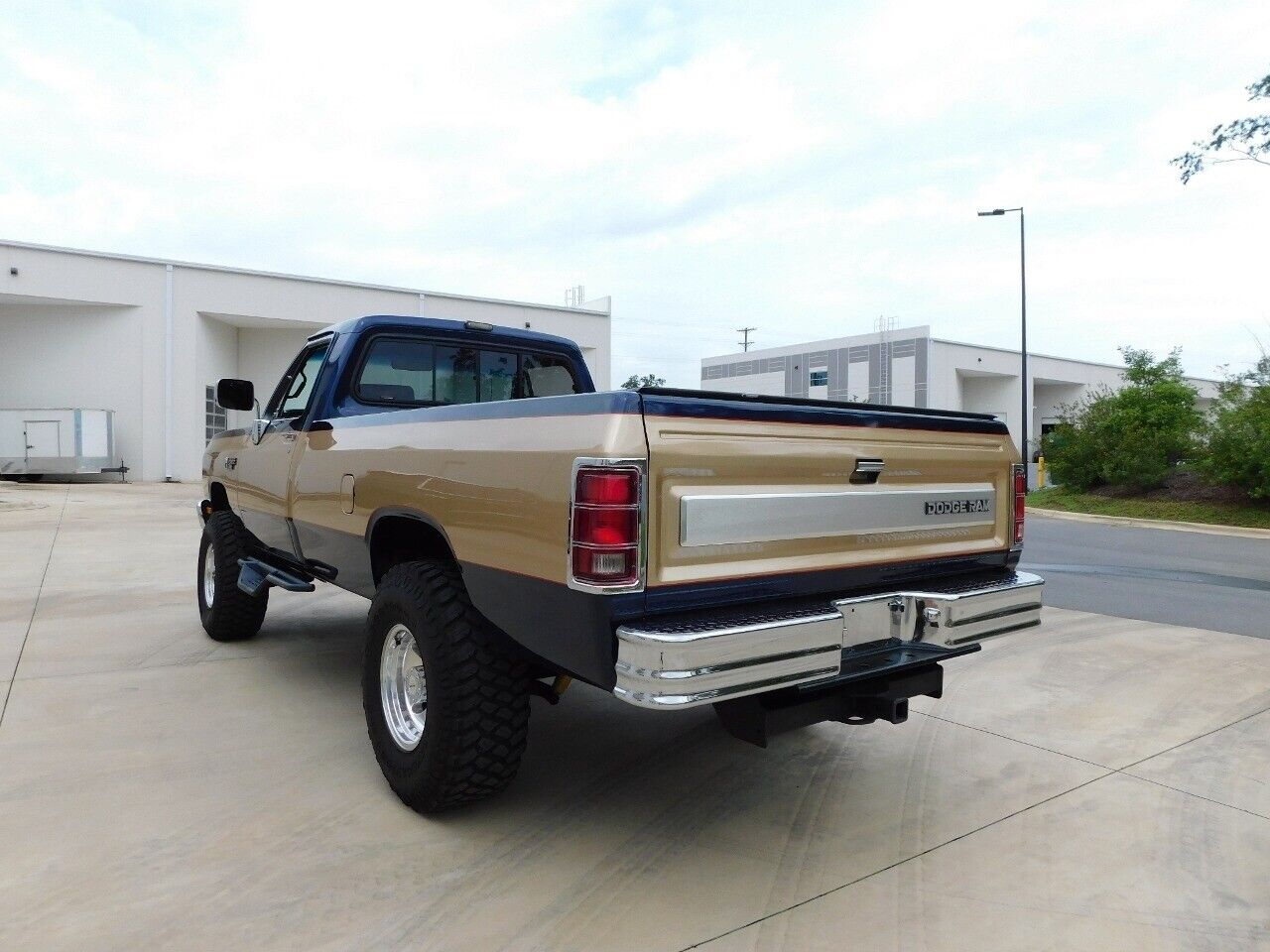 Dodge-Other-Pickups-Pickup-1990-Brown-Blue-196700-8