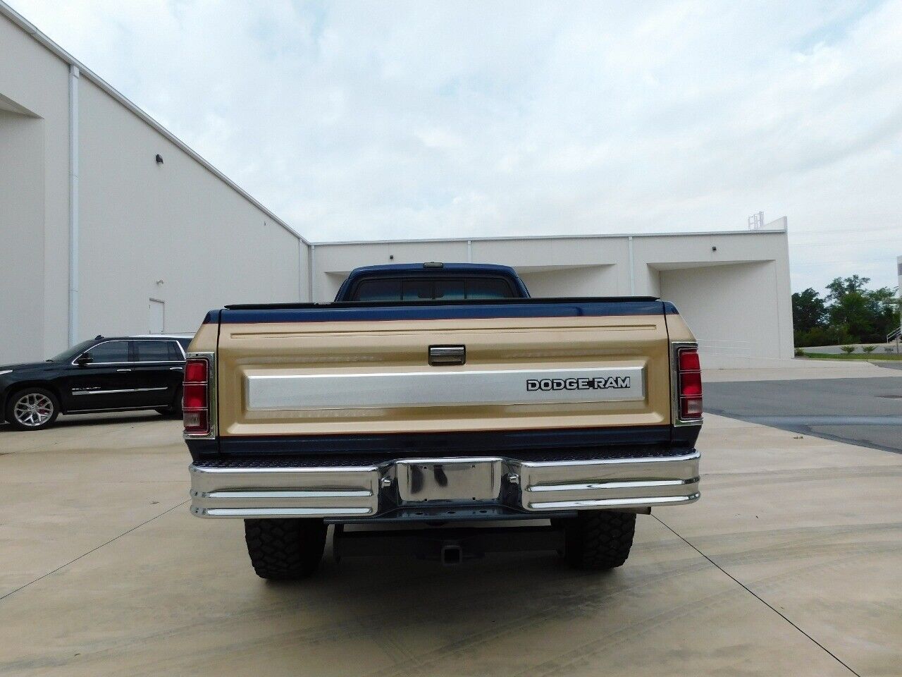 Dodge-Other-Pickups-Pickup-1990-Brown-Blue-196700-9