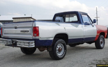 Dodge-Other-Pickups-Pickup-1990-Other-Gray-162512-17