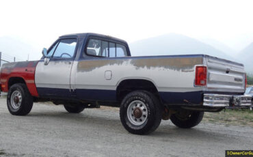 Dodge-Other-Pickups-Pickup-1990-Other-Gray-162512-18