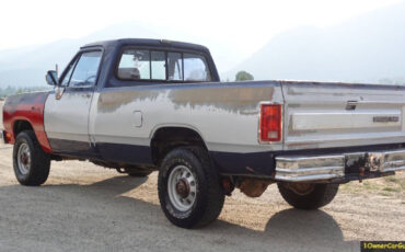 Dodge-Other-Pickups-Pickup-1990-Other-Gray-162512-25