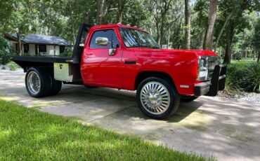 Dodge-Other-Pickups-Pickup-1991-Red-Black-8047-3