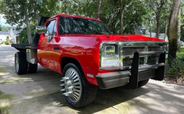 Dodge-Other-Pickups-Pickup-1991-Red-Black-8047-4