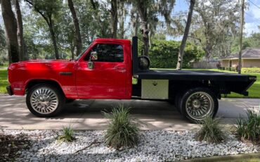 Dodge-Other-Pickups-Pickup-1991-Red-Black-8047-7