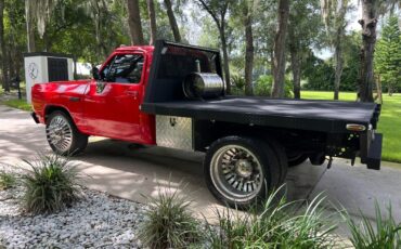 Dodge-Other-Pickups-Pickup-1991-Red-Black-8047-8