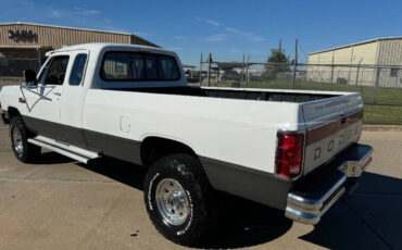 Dodge-Other-Pickups-Pickup-1992-White-Red-249287-11