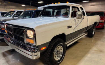 Dodge-Other-Pickups-Pickup-1992-White-Red-249287-2