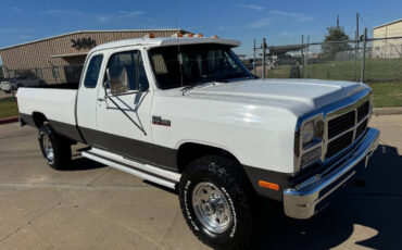 Dodge-Other-Pickups-Pickup-1992-White-Red-249287-3